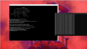 Hydra Net | Slamming Kids OVH