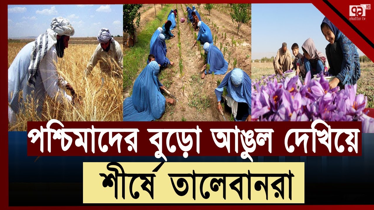 যেভাবে অর্থনীতির চাকা ঘুরালো আগফানরা | Afghanistan | Economy | Ekattor TV