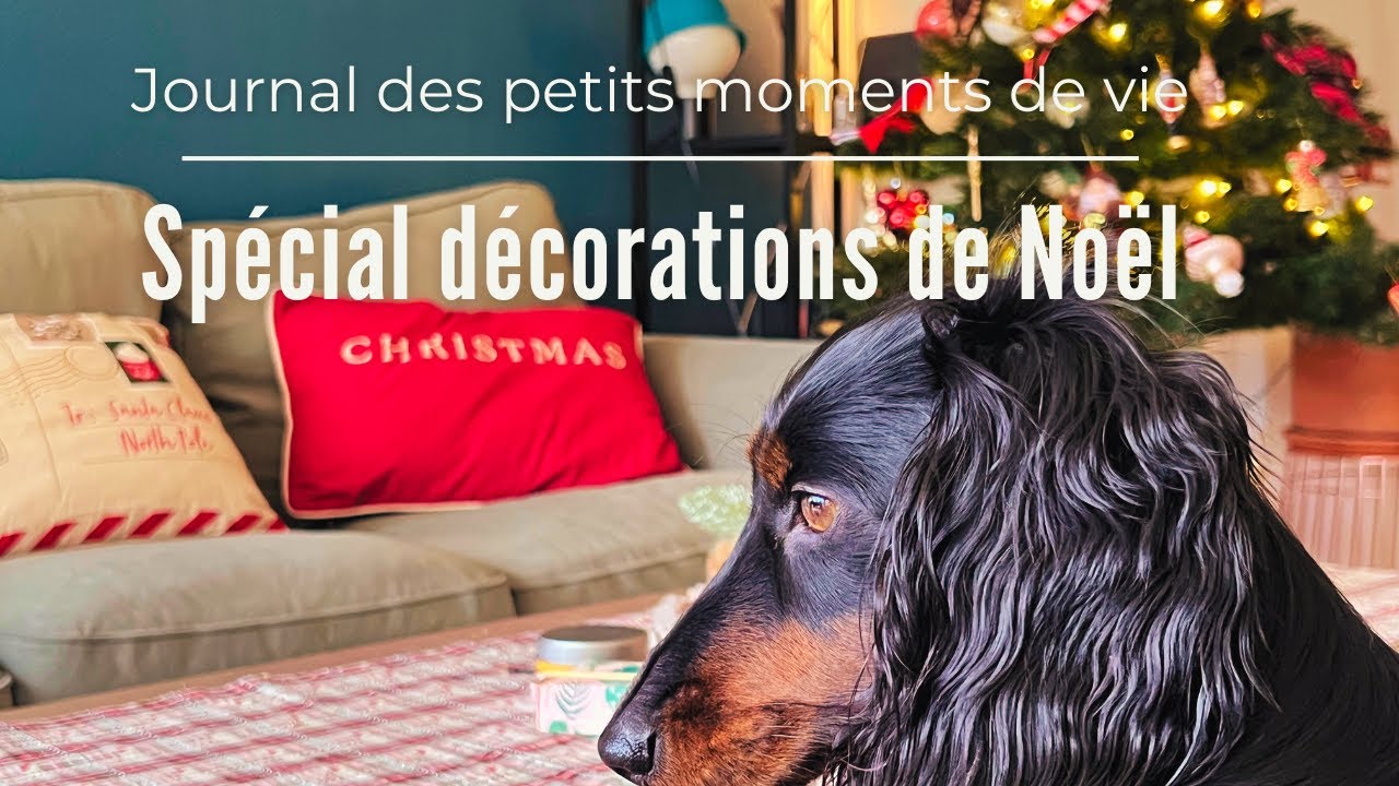 Vlog spécial décorations de Noël