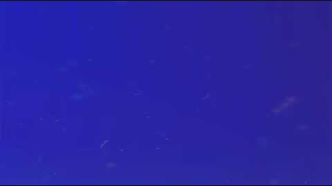 سورة العصر بصوت الشيخ القارئ عبد الباسط عبد الصمد