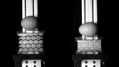 Kang metamaterials egg drop