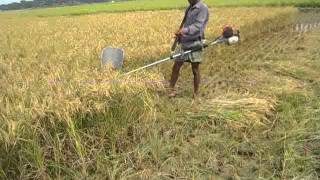 Agricultural Machinery Bangladesh