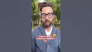 Part 6: Funny zoo #funnyanimals #adamzoo #funny #animal #zoo #adamrose #videoshorts