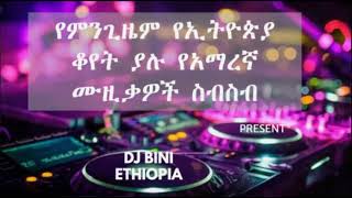 Ethiopian Slow Music Collection screenshot 1