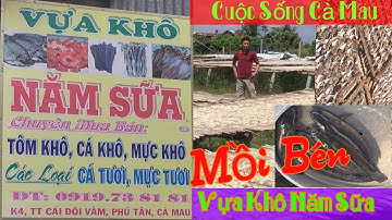 Cuộc Sống Cà Mau - Vựa Khô Năm Sữa Cái Đôi Vàm - Trung Ho #19