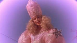 Wild at Heart - The Good Witch