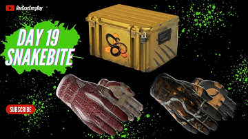 Opening one CSGO case every day until I get a Gold DAY 19