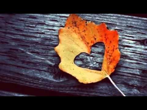Моё Любимое Время Года ♥[осень]  (Created with @Magisto)