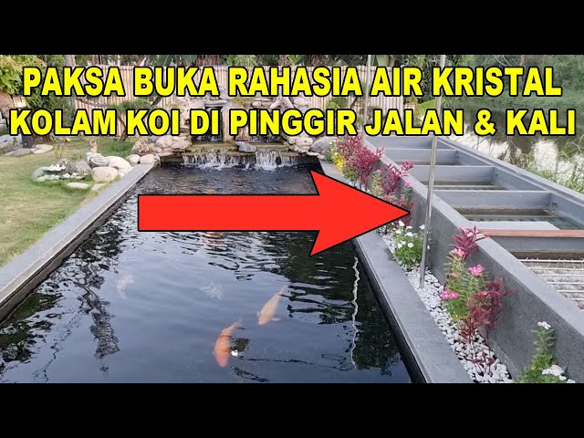 PAKSA BUKA RAHASIA FILTER AIR KRISTAL KOLAM KOI PINGGIR JALAN u0026 KALI class=