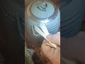 How to straighten a canary bird tail feathers! watch till the end ........