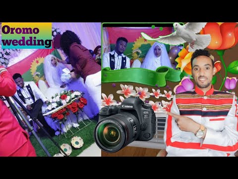 Cidha Hawwii Fi Nasri Video Qulqulluu Ulaagaa Fi Biffa Sadarkaa Isaa Egaten Sadarkaa 1ffa Qabaate