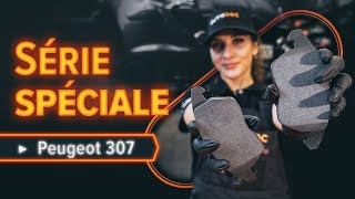 Remplacer Silencieux sport et universel DACIA SPRING 2023 - instructions vidéo