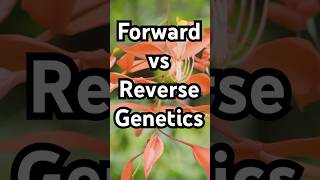 Forward genetics vs reverse genetics