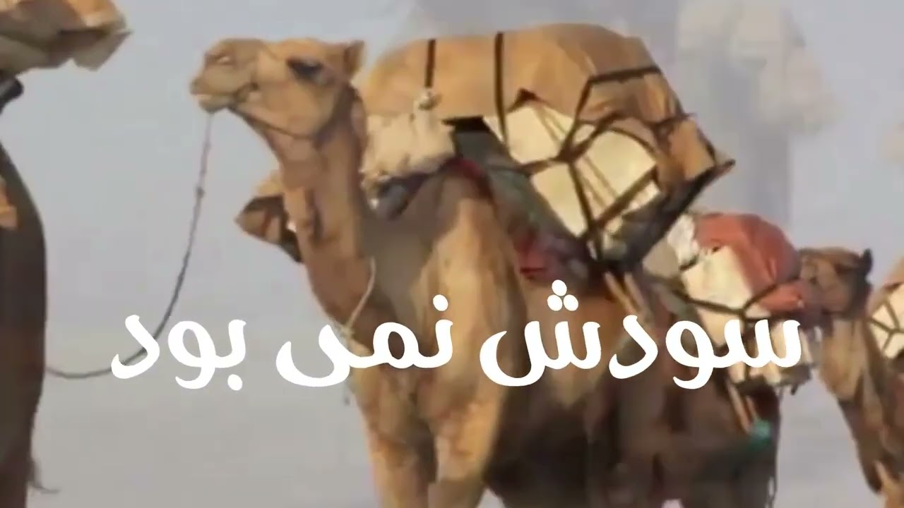 #تصنیف_ساربان  صدای  #مهدی_میرابی_جاجرم  #هفت_هنر_خراسانی تنبک و اثرهنری #مهندس_محمد_جواد_میرابی 