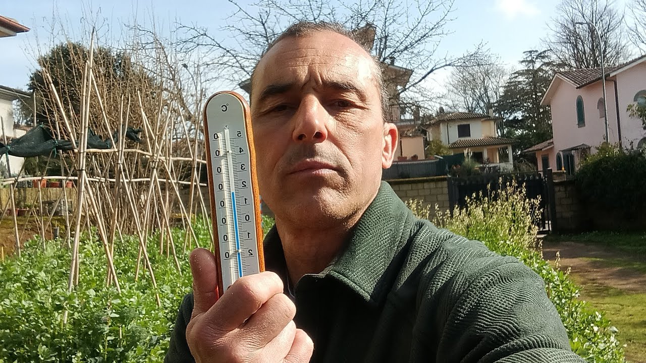 ARRIVA LA PRIMAVERA, AUMENTANO LE TEMPERATURE ,ARRIVANO TUTTI I PARASSITI NEL TUO VERDE....😉🌿🌿