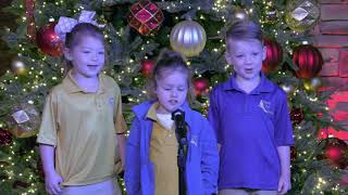 Trophy Lakes Academy Christmas Project