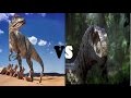 Velociraptor Vs Allosaurus