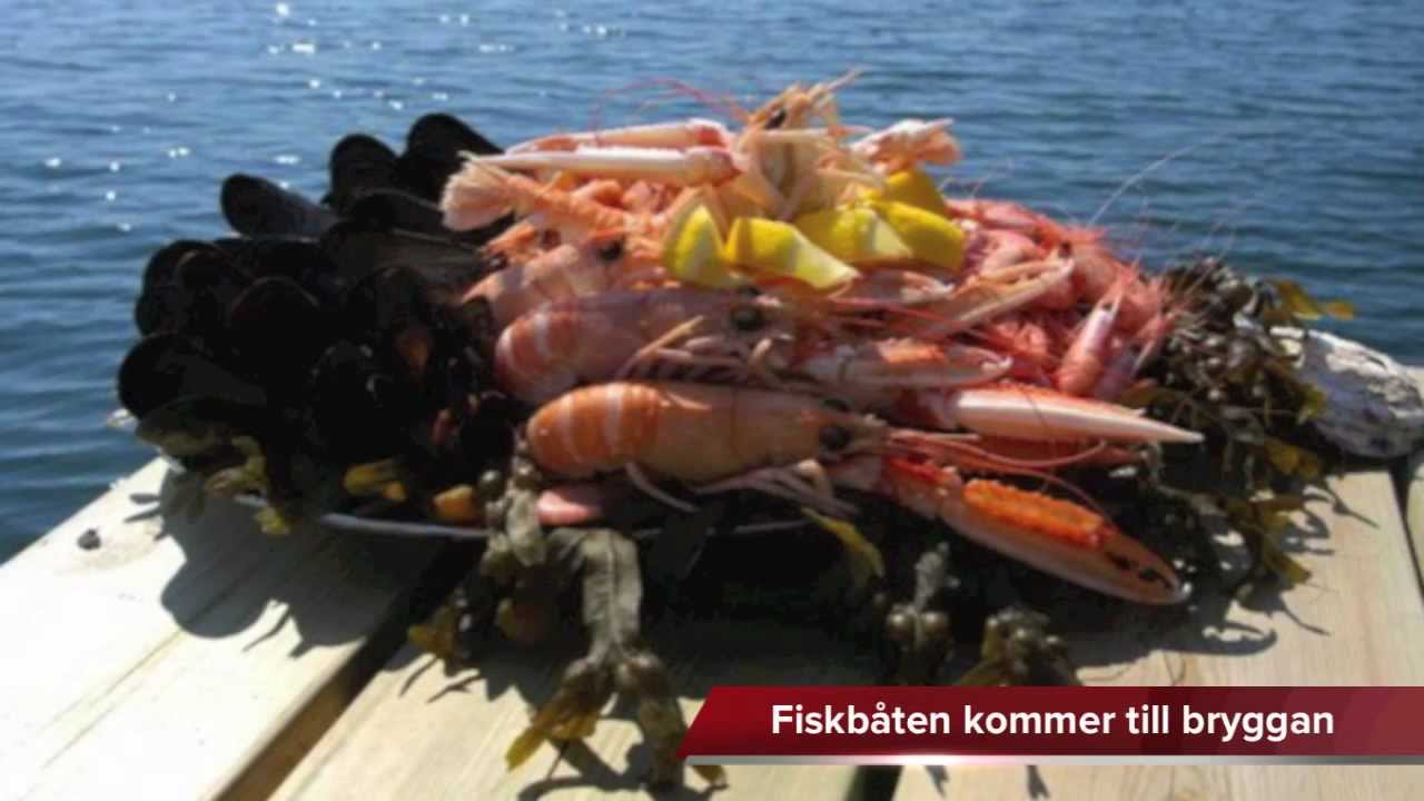 Andelsbostäder - andelsboende Capri Strömstad - YouTube