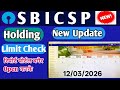 SBI CSP !! Holding Limit Check !! Shortcut!! Report Portal Bagair Open karke kaise check Karen !! 