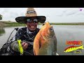 ฝูงปลาปริศนา... ถล่มยับรอบลำเรือ !!! แดกยับเดี๋ยวจะหาว่าโม้ FISHINGEZ วันที่ 1-9-66