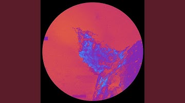 Salaninam (Auntie Flo Remix)