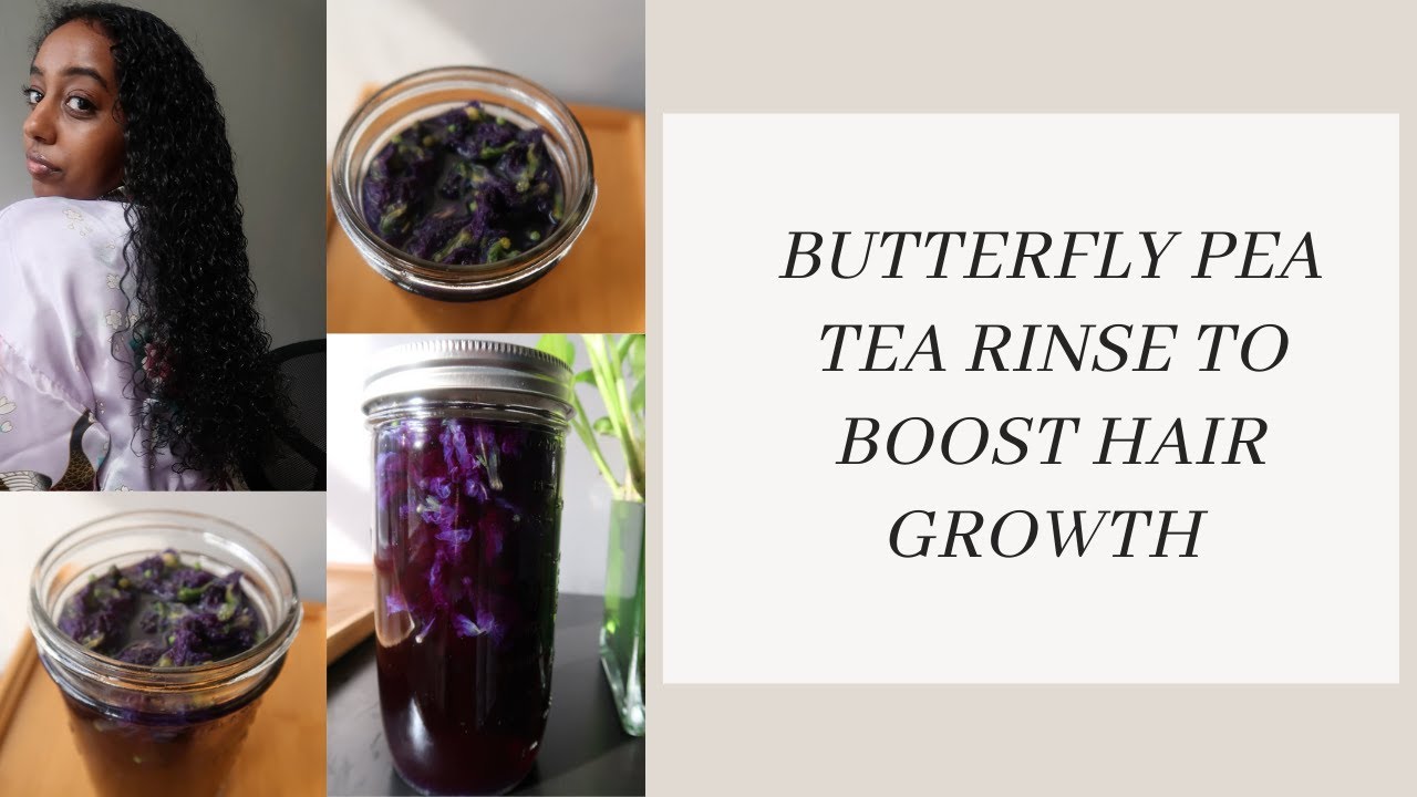Butterfly Pea Tea Rinse to Boost Hair Growth and Reduce Hair Fall YouTube