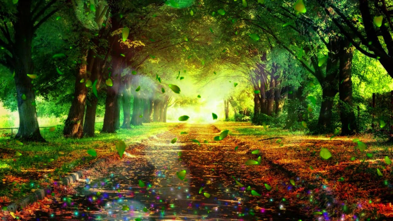 Gorgeous, beautiful, dreamy, romantic, colorful forest photography ...