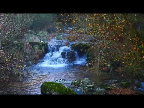 Francisco Santiago López lévanos ao corazón natural da Costa da Morte a golpe de click