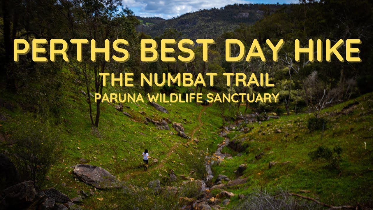 BEST DAY HIKE IN PERTH! The Numbat Trail | Paruna Wildlife Sanctuary