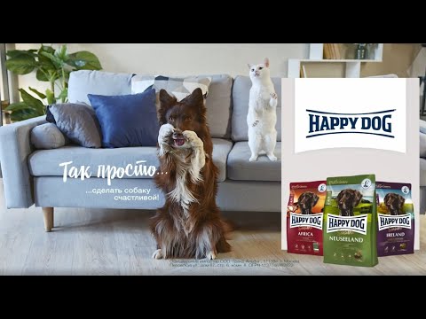 Вопрос: Как сделать собаку счастливой?