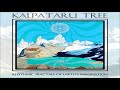 Kalpataru tree  earth anchor