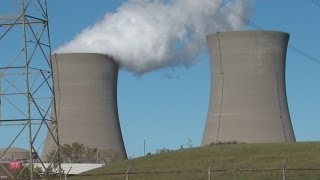 5pm: Perry Nuclear Power Plant godlfish found