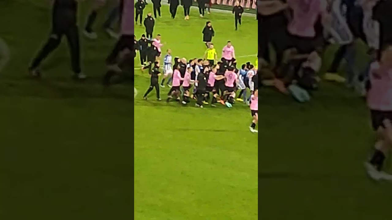 Palermo-Bari 1-0 rissa e Corini esulta con la curva