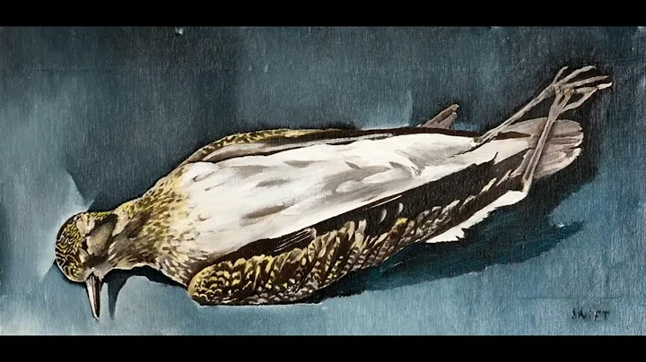 Patrick Swift Art Dublin 1950 52