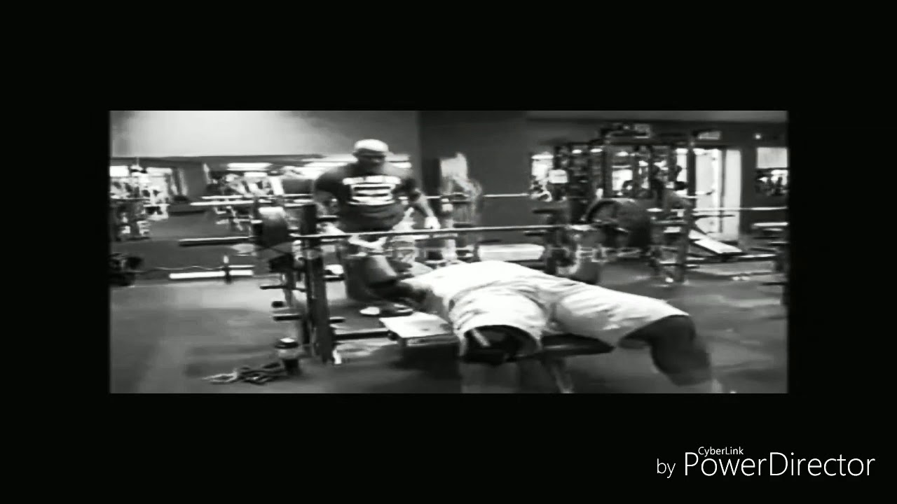 video phone beyonce mp3 Greg Watkins benching