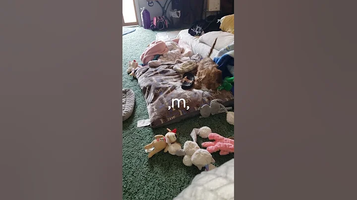 Untitled video