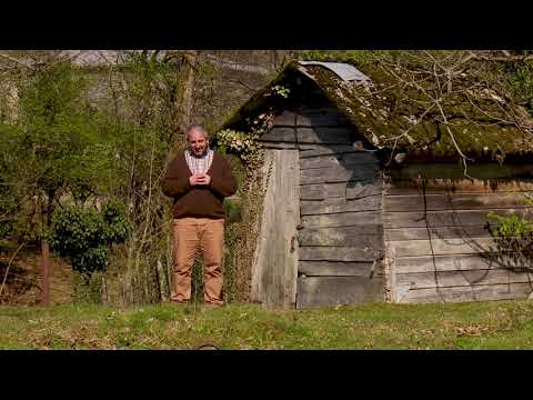 ეთნოფორი • etnopori (ანონსი / რიგით 174-ე) 11.04.2019 წ.