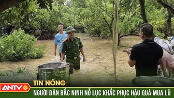 Sau mưa lũ, ngập lụt, Bắc Ninh thiệt hại nặng nề về sản xuất, chăn nuôi | ANTV