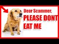 SCAMMER EATS DOG FOR BREAKFAST?!?!