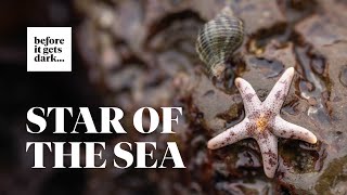 Star of the Sea Tidepooling at Duxbury Reef