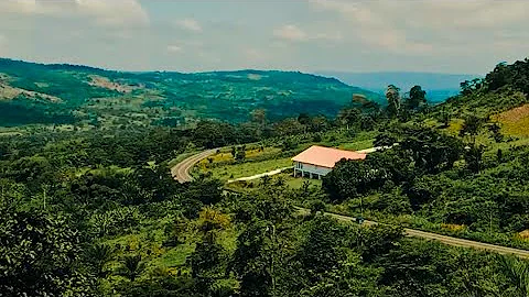 Bolingo - Humblesmith ft Umu Obiligbo (Visualizer)