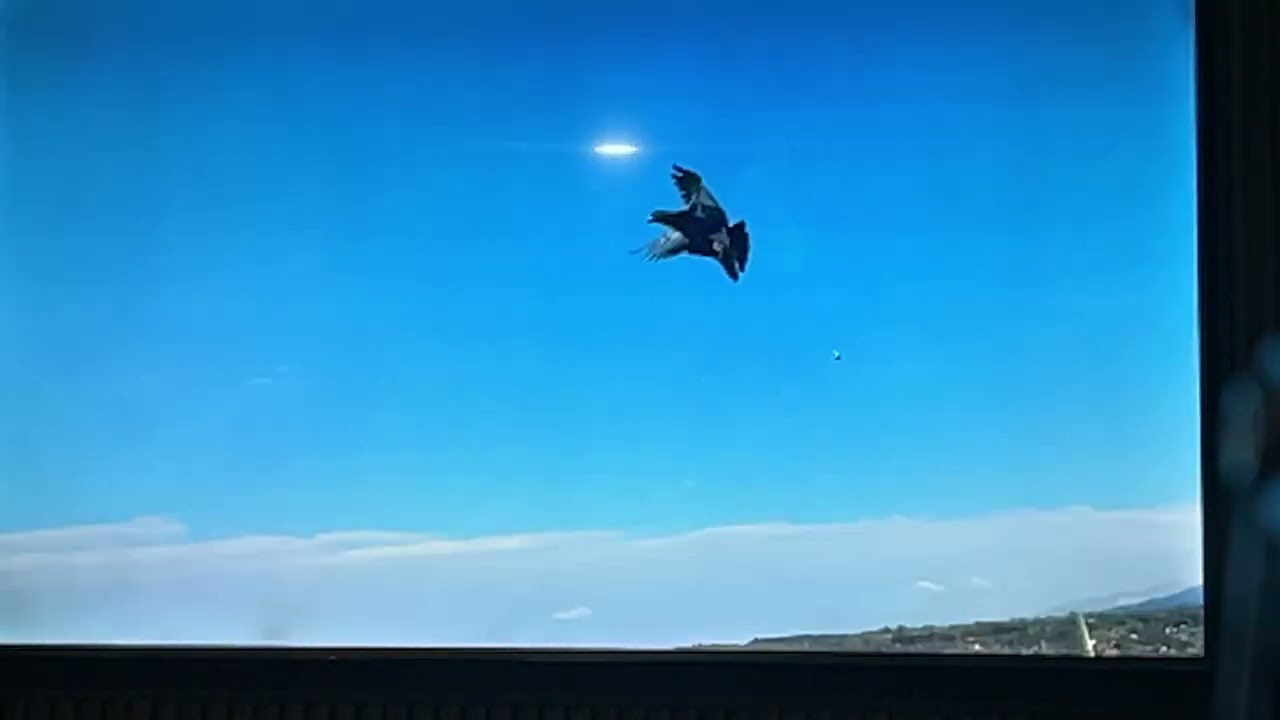 مساحة التدوير في الحمام الباكستاتي بين مفهوم وموروث وكوارث 🔥