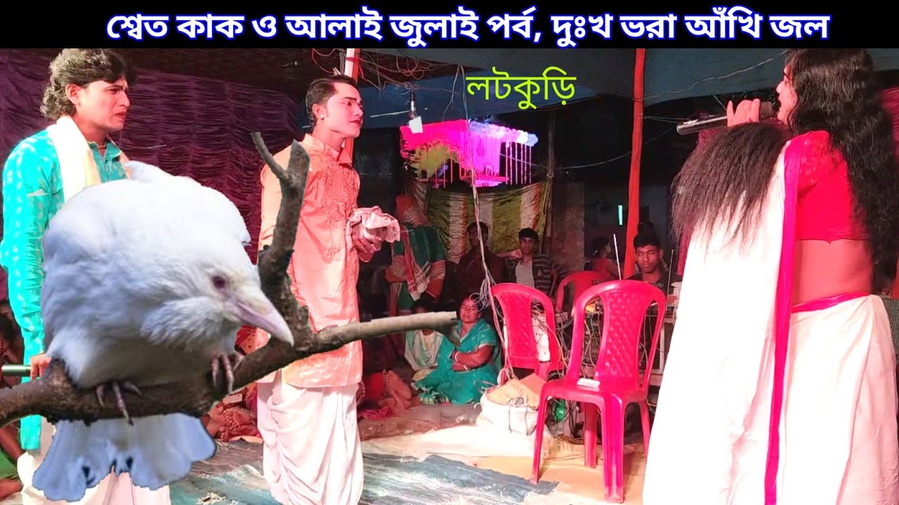 শেত কাক ও আলাই দুলাই পর্ব দুঃখ ভরা আঁখি জল | behula bhashan Jatra| maa manasa jatra pala gaan vidieo