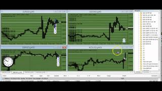MT4 Script Trading