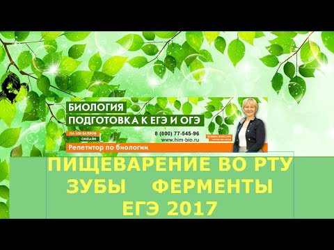 Видео: Какой фермент присутствует в слюне?