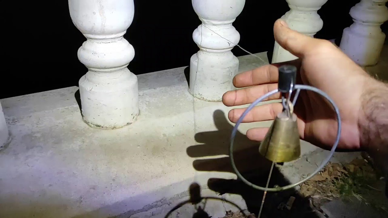 yılan balığı yakalamaya devam #yılanbalığı #göldeyılanbalığı