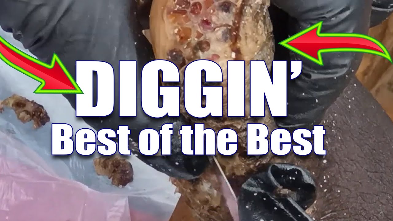 The Spittin' Egg Preview Dig! Rise Up Society - YouTube