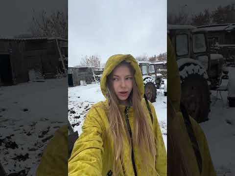 26 октября выпал первый снег ❄️А у вас какая погода? #деревня #село #хозяйство #природа #сад #animal