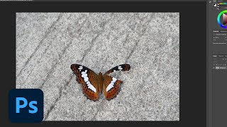 Whats New In Photoshop Cc October 2018 Adobe Creative Cloud