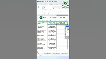 Calculate AGE through INT & YEARFRAC Formula | #reels #msexcel #exceltricks #viralreels #excelclass